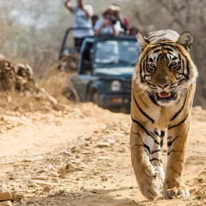 Explore Golden Triangle Tour with Ranthambore & Varanasi Tour for 7 days with Agra Taj Visit and discover unforgettable experiences - Photo 10