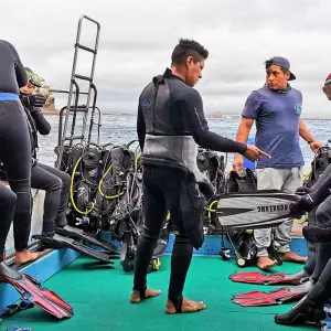 Explore Tailor-Made Best Ecuador Tour, Private Driver Guide & Daily Start for 13 days with Agate Travel and discover unforgettable experiences - Photo 5