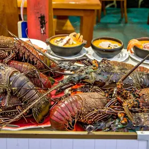 Explore Tailor-Made 8-Day Ecuador Amazon Jungle Adventure, Daily Starts for 8 days with Agate Travel and discover unforgettable experiences - Photo 6