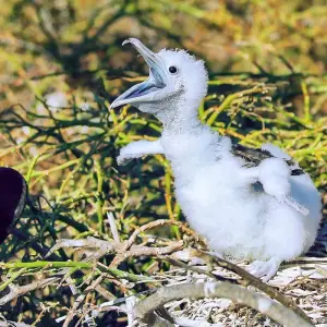 Explore Tailor-Made Best Ecuador Tour, Private Driver Guide & Daily Start for 13 days with Agate Travel and discover unforgettable experiences - Photo 7