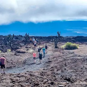 Explore Tailor-Made Best Ecuador Tour, Private Driver Guide & Daily Start for 13 days with Agate Travel and discover unforgettable experiences - Photo 8