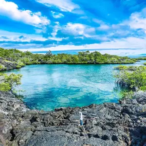 Explore Tailor-Made Best Ecuador Tour, Private Driver Guide & Daily Start for 13 days with Agate Travel and discover unforgettable experiences - Photo 10