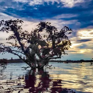 Explore Tailor-Made 8-Day Ecuador Amazon Jungle Adventure, Daily Starts for 8 days with Agate Travel and discover unforgettable experiences - Photo 10