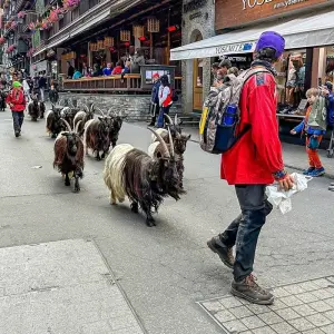 Explore 8-Day Independent Tour of Switzerland Train Experience for 8 days with Agate Travel and discover unforgettable experiences - Photo 4