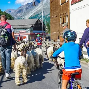 Explore Scenic Switzerland Train Tour with Glacier Express, Daily Departure for 8 days with Agate Travel and discover unforgettable experiences - Photo 6