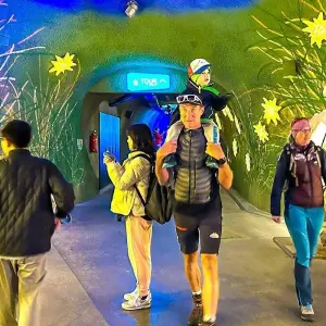 Explore Scenic Switzerland Train Tour with Glacier Express, Daily Departure for 8 days with Agate Travel and discover unforgettable experiences - Photo 8