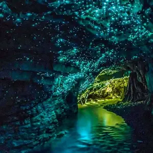 Explore South Island Essence Coach Tour for 5 days with Agate Travel and discover unforgettable experiences - Photo 8