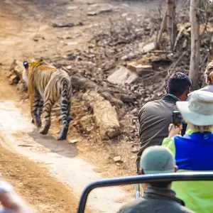 Explore 10 Days Tailor-Made Bangladesh Tour, Private Guide & Driver for 10 days with Agate Travel and discover unforgettable experiences - Photo 5