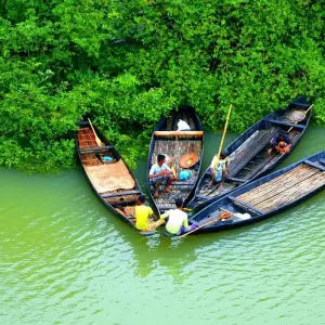 Explore 10 Days Tailor-Made Bangladesh Tour, Private Guide & Driver for 10 days with Agate Travel and discover unforgettable experiences - Photo 6