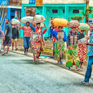 Explore Tailor-Made Best Rwanda Tour, Daily Departure & Private Trip for 8 days with Agate Travel and discover unforgettable experiences - Photo 4