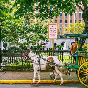 Explore Tailor-Made Best Philippines Tour with Daily Departure & Private Guide for 7 days with Agate Travel and discover unforgettable experiences - Photo 2