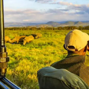 Explore Tailor-Made Private Zimbabwe Victoria Falls Adventure, Daily Departure for 5 days with Agate Travel and discover unforgettable experiences - Photo 5