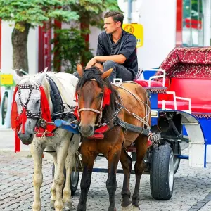 Explore Tailor-Made Georgia Adventure, Daily Departure & Private Guide for 12 days with Agate Travel and discover unforgettable experiences - Photo 6