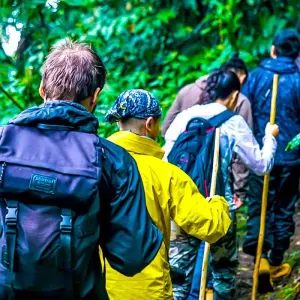 Explore Tailor-Made Best Rwanda Tour, Daily Departure & Private Trip for 8 days with Agate Travel and discover unforgettable experiences - Photo 8