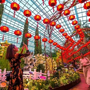 Explore Customized Singapore & Phuket Family Holiday Package, Daily Depart for 6 days with Agate Travel and discover unforgettable experiences - Photo 6