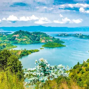 Explore Tailor-Made Best Rwanda Tour, Daily Departure & Private Trip for 8 days with Agate Travel and discover unforgettable experiences - Photo 9
