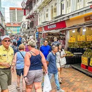 Explore Tailor-Made Singapore & Malaysia Tour, Daily Start & Private Guide for 5 days with Agate Travel and discover unforgettable experiences - Photo 6