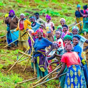 Explore Tailor-Made Private Rwanda Gorilla Trip with Daily Departure for 4 days with Agate Travel and discover unforgettable experiences - Photo 10