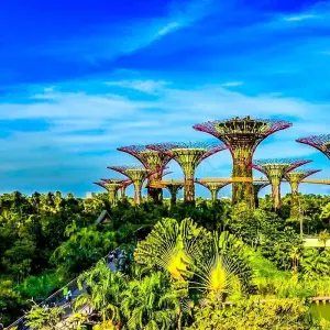 Explore Tailor-Made Singapore & Malaysia Tour, Daily Start & Private Guide for 5 days with Agate Travel and discover unforgettable experiences - Photo 7