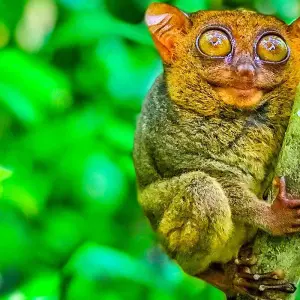 Explore Customized Philippines Islands Hopping, Daily Departure & Private Guide for 12 days with Agate Travel and discover unforgettable experiences - Photo 8