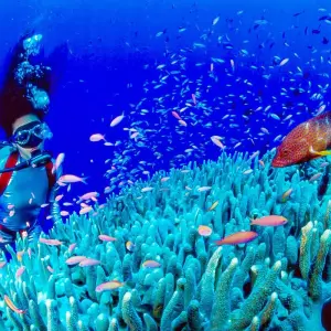 Explore Tailor-Made Best Philippines Tour with Daily Departure & Private Guide for 7 days with Agate Travel and discover unforgettable experiences - Photo 9