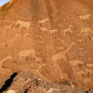 Explore Tailor-Made Best Namibia Family Tours with Safari, Private Guide for 8 days with Agate Travel and discover unforgettable experiences - Photo 2