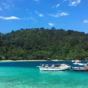 Explore Customized Malaysia Borneo Wildlife Adventure, Daily Start for 10 days with Agate Travel and discover unforgettable experiences - Photo 4