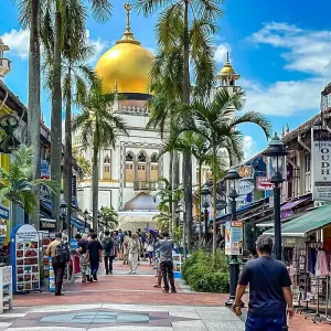 Explore Tailor-Made Singapore Layover Tour, Daily Depart & Private Guide for 1 days with Agate Travel and discover unforgettable experiences - Photo 11