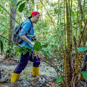 Explore Customized Malaysia Borneo Wildlife Adventure, Daily Start for 10 days with Agate Travel and discover unforgettable experiences - Photo 6