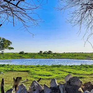 Explore Tailor-Made Best Namibia Family Tours with Safari, Private Guide for 8 days with Agate Travel and discover unforgettable experiences - Photo 6