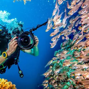 Explore Customized Cebu & Bohol Adventure, Daily Departure & Private Guide for 7 days with Agate Travel and discover unforgettable experiences - Photo 10