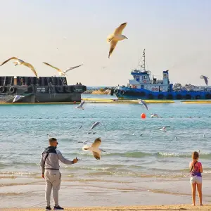 Explore Tailor-Made Best Private Dubai Family Luxury Tour, Daily Depart for 5 days with Agate Travel and discover unforgettable experiences - Photo 7