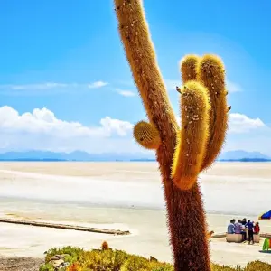 Explore Tailor-Made Peru & Bolivia Tour with Daily Departure & Private Guide for 13 days with Agate Travel and discover unforgettable experiences - Photo 4