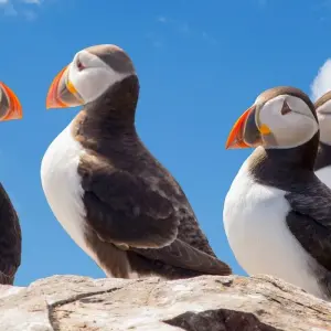 Explore Tailor-Made Best Iceland Tour, Private Trip for 10 days with Agate Travel and discover unforgettable experiences - Photo 2