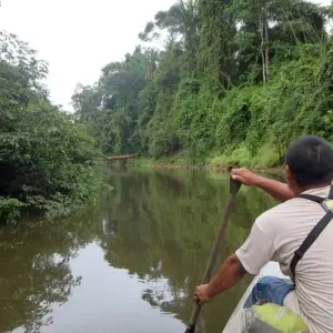 Explore Tailor-Made Adventure to Enchanting Guyana with Daily Departure for 9 days with Agate Travel and discover unforgettable experiences - Photo 2
