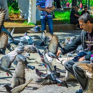 Explore Tailor-Made 11-Day Algeria Family Tour, Daily Depart & Private Guide for 11 days with Agate Travel and discover unforgettable experiences - Photo 6