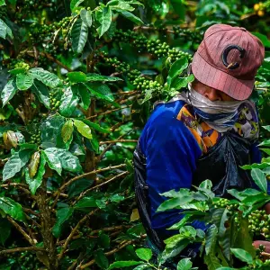 Explore Tailor-Made Private Angola Tour to Luanda & Kalandula Falls, Daily Start for 6 days with Agate Travel and discover unforgettable experiences - Photo 2