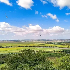 Explore Tailor-Made Private Angola Tour to Luanda & Kalandula Falls, Daily Start for 6 days with Agate Travel and discover unforgettable experiences - Photo 3