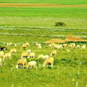 Explore Tailor-Made 11-Day Algeria Family Tour, Daily Depart & Private Guide for 11 days with Agate Travel and discover unforgettable experiences - Photo 9