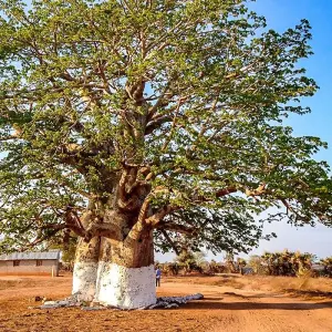 Explore Tailor-Made Private Angola Tour to Luanda & Kalandula Falls, Daily Start for 6 days with Agate Travel and discover unforgettable experiences - Photo 5