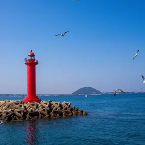 Explore Tailor-Made Korea Jeju Vacation, Daily Departure & Private Guide for 5 days with Agate Travel and discover unforgettable experiences - Photo 7