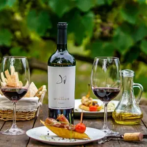 Explore Customized Private Uruguay Family Trip, No Strangers for 9 days with Agate Travel and discover unforgettable experiences - Photo 7