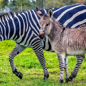 Explore Tailor-Made Private Angola Tour to Luanda & Kalandula Falls, Daily Start for 6 days with Agate Travel and discover unforgettable experiences - Photo 7