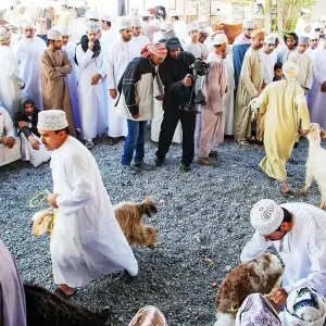 Explore Customized Oman Desert Safari, Daily Departure & Private Tour for 9 days with Agate Travel and discover unforgettable experiences - Photo 9