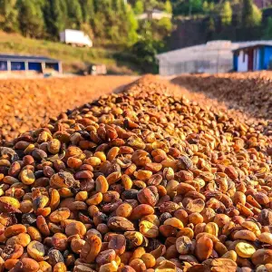 Explore Tailor-Made Private Angola Tour to Luanda & Kalandula Falls, Daily Start for 6 days with Agate Travel and discover unforgettable experiences - Photo 9