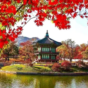 Explore Tailor-Made Korea Jeju Vacation, Daily Departure & Private Guide for 5 days with Agate Travel and discover unforgettable experiences - Photo 11