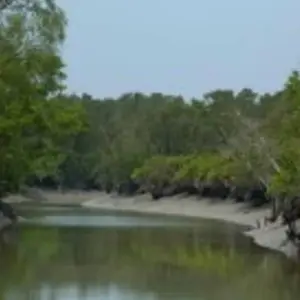 Explore Mystical Sunderban Exploration for 3 days with Agora Voyages OPC Pvt Ltd and discover unforgettable experiences - Photo 2