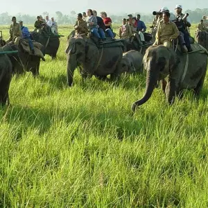 Explore Riverside Reverie: Guwahati, Kaziranga & Majuli Expedition for 5 days with Agora Voyages OPC Pvt Ltd and discover unforgettable experiences - Photo 5