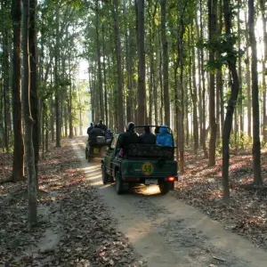 Explore Tiger & Temple Trails Expedition for 11 days with Agora Voyages OPC Pvt Ltd and discover unforgettable experiences - Photo 11