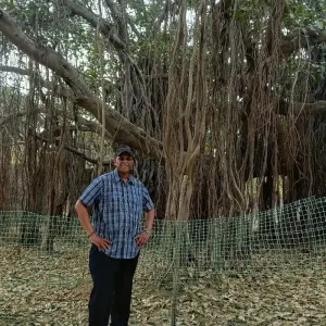 Explore Hyderabad Delight: Private 3-Day Tour Of The City Highlights for 3 days with Agora Voyages OPC Pvt Ltd and discover unforgettable experiences - Photo 4